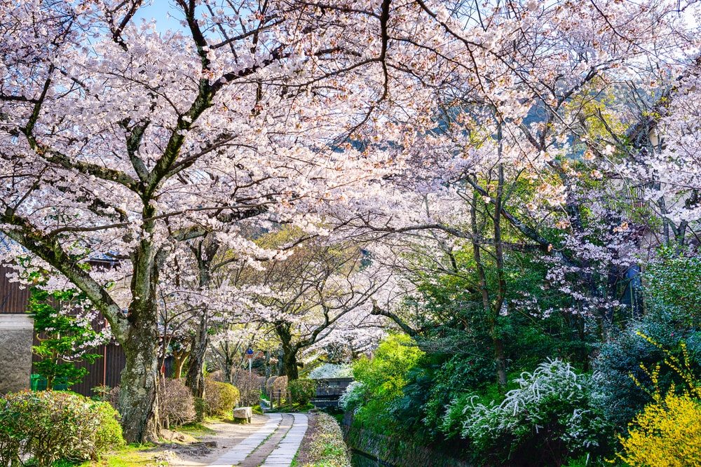 chodnik-filozofov-min