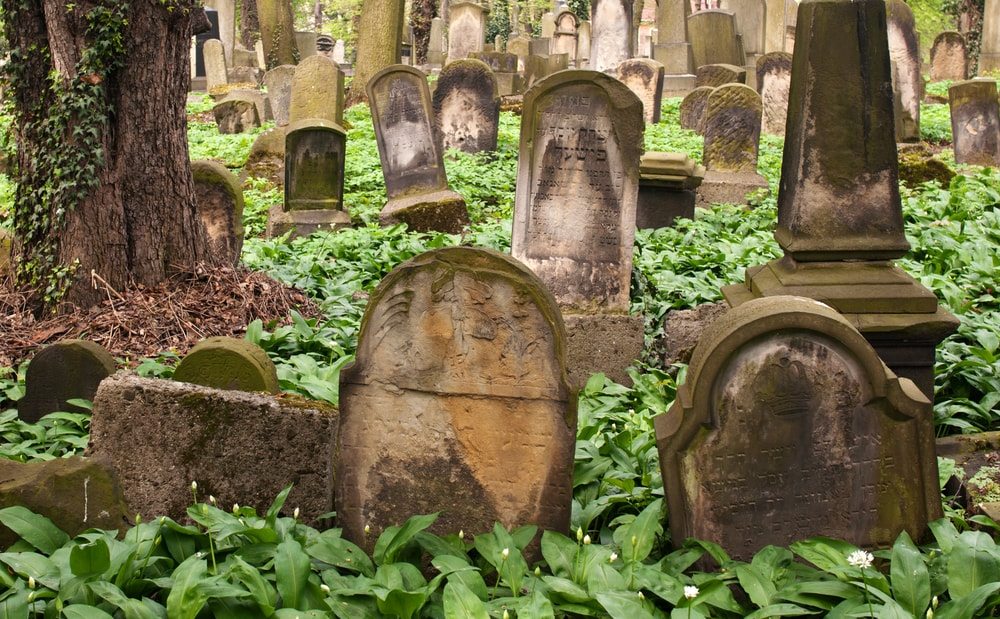 legregebbi-temeto-lengyelorszagban