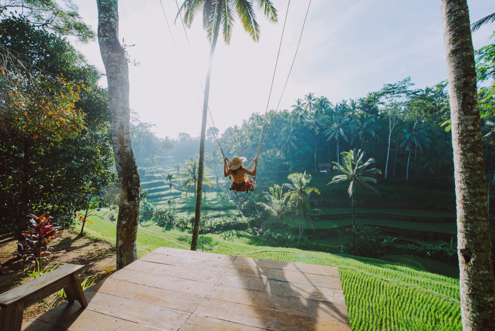 Tripadvisor Travelers 'Choice Awards